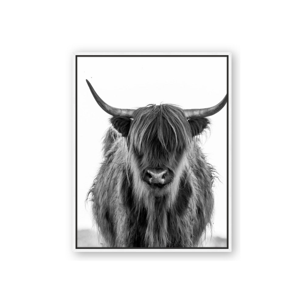 B&W Highland