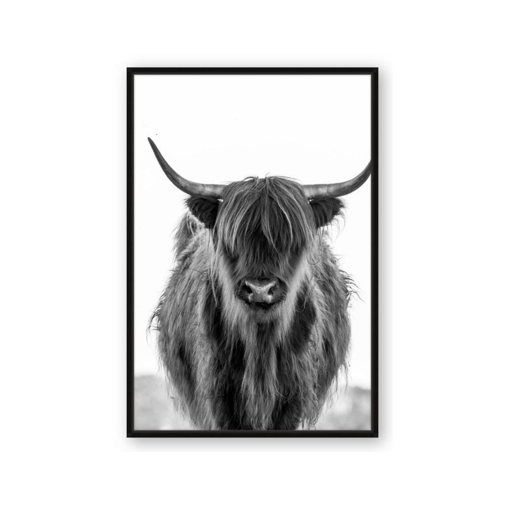 B&W Highland