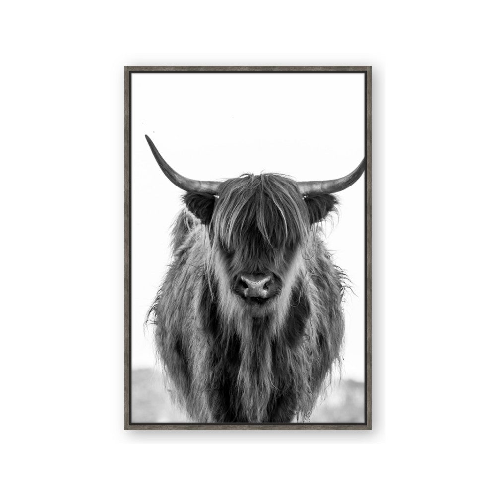 B&W Highland
