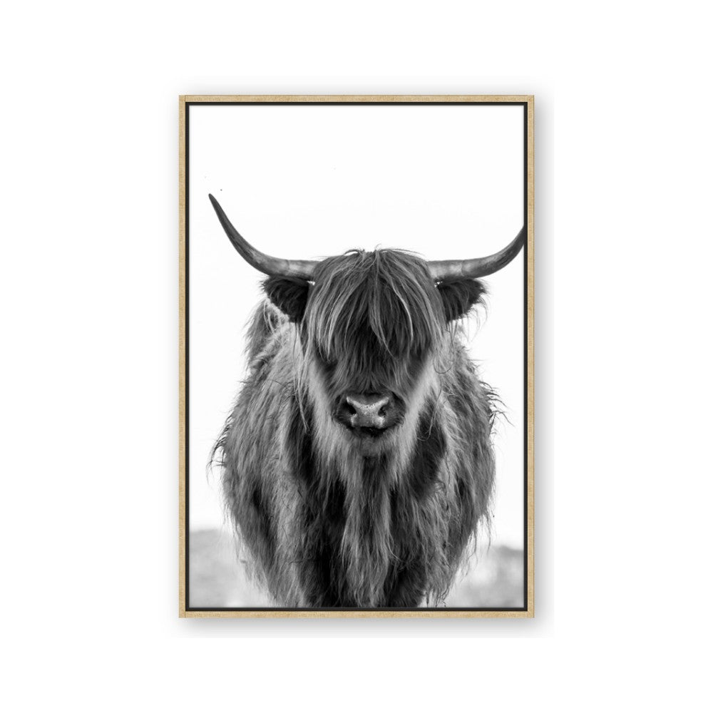 B&W Highland