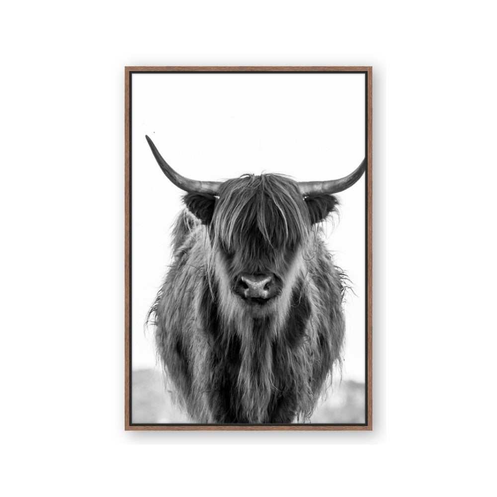 B&W Highland