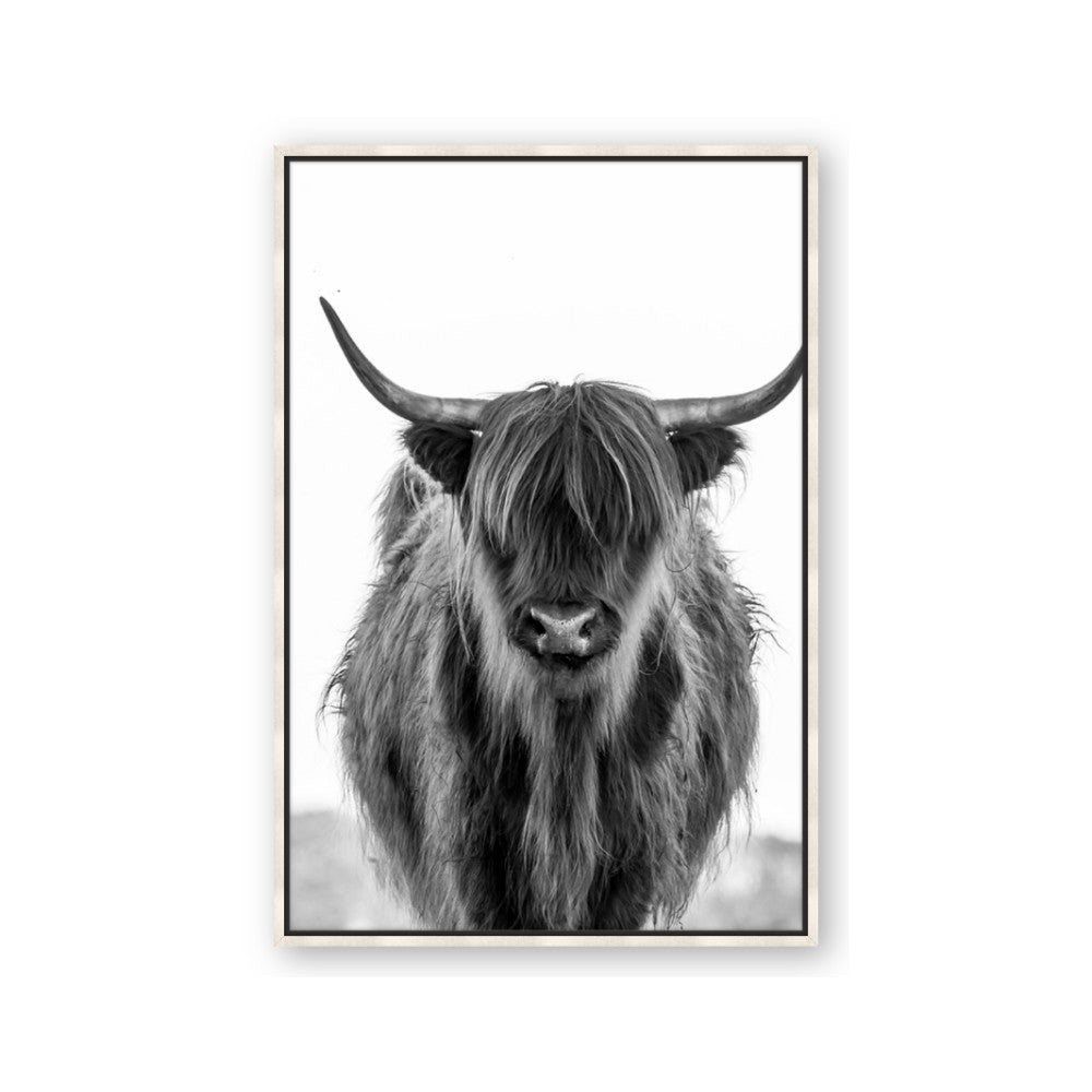 B&W Highland
