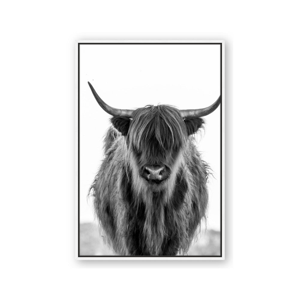 B&W Highland