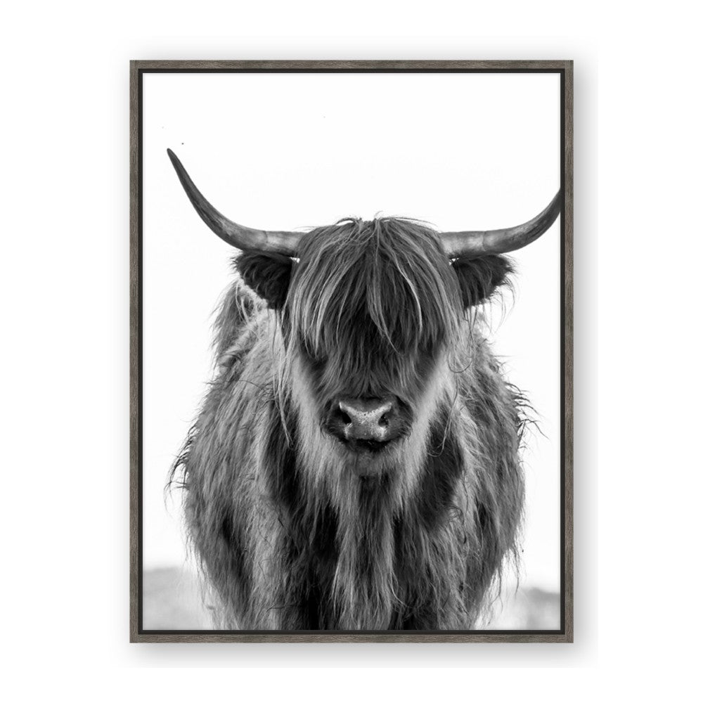 B&W Highland