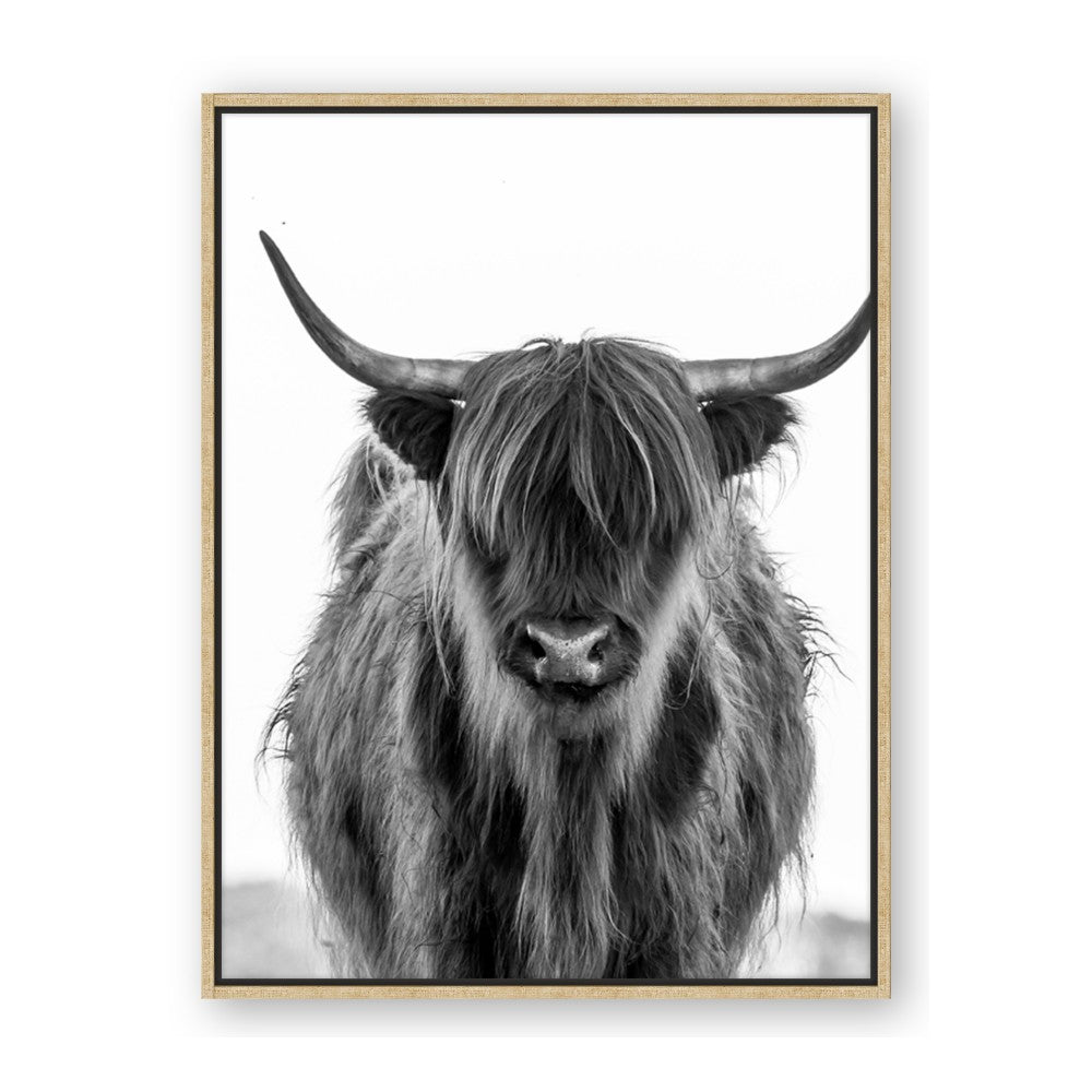 B&W Highland