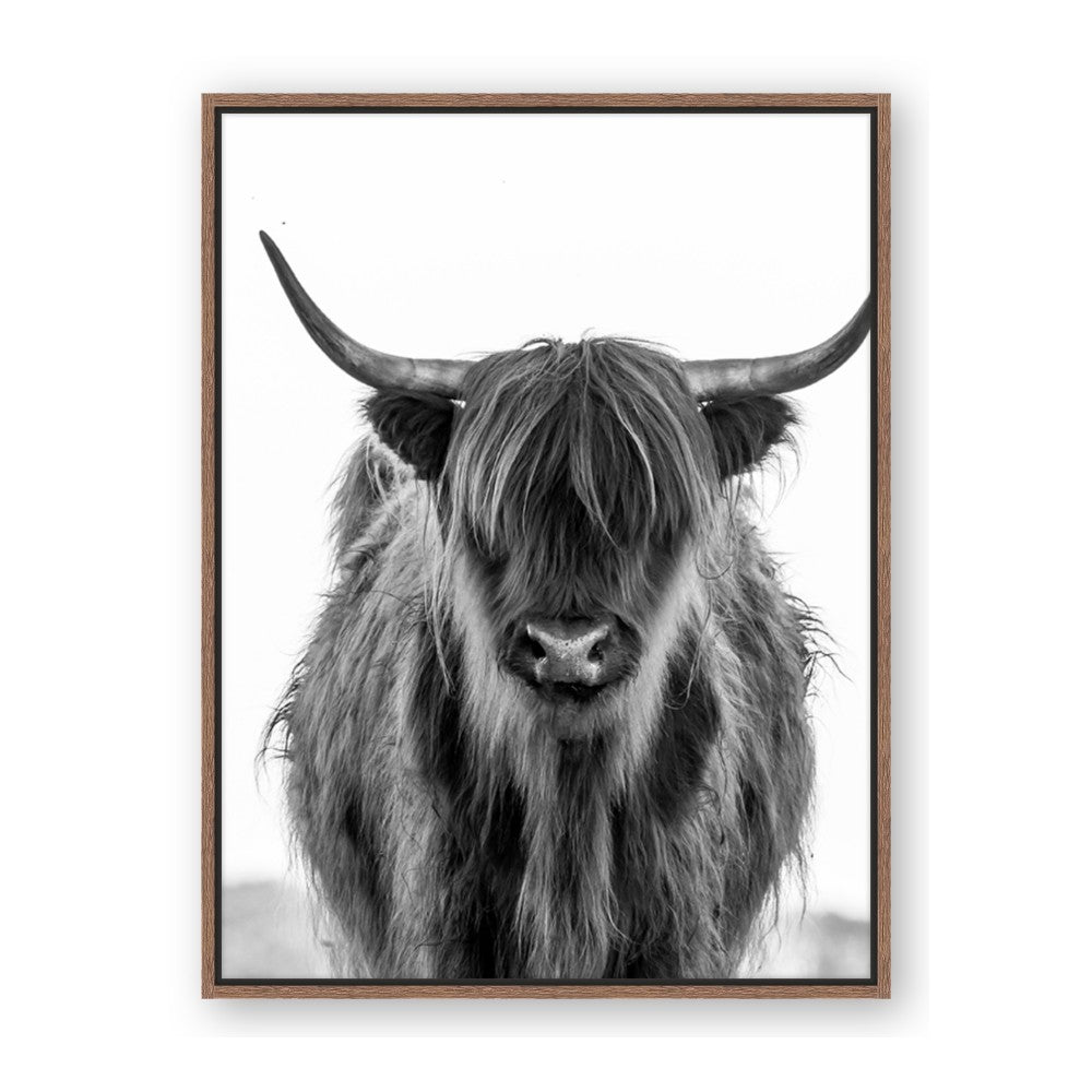 B&W Highland