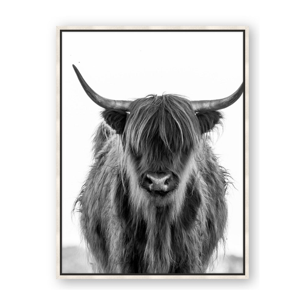 B&W Highland