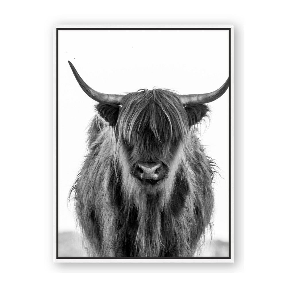 B&W Highland