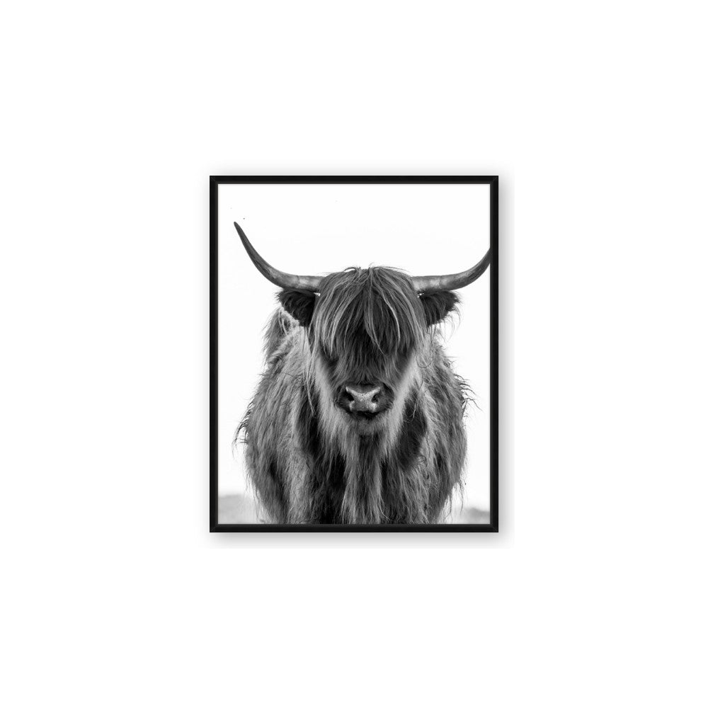B&W Highland