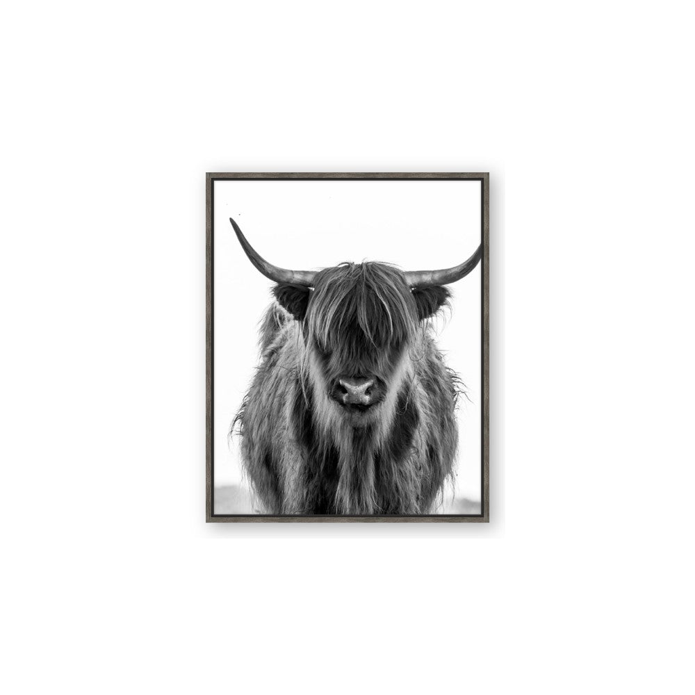 B&W Highland