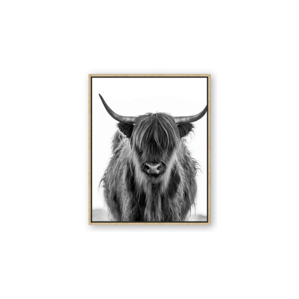 B&W Highland