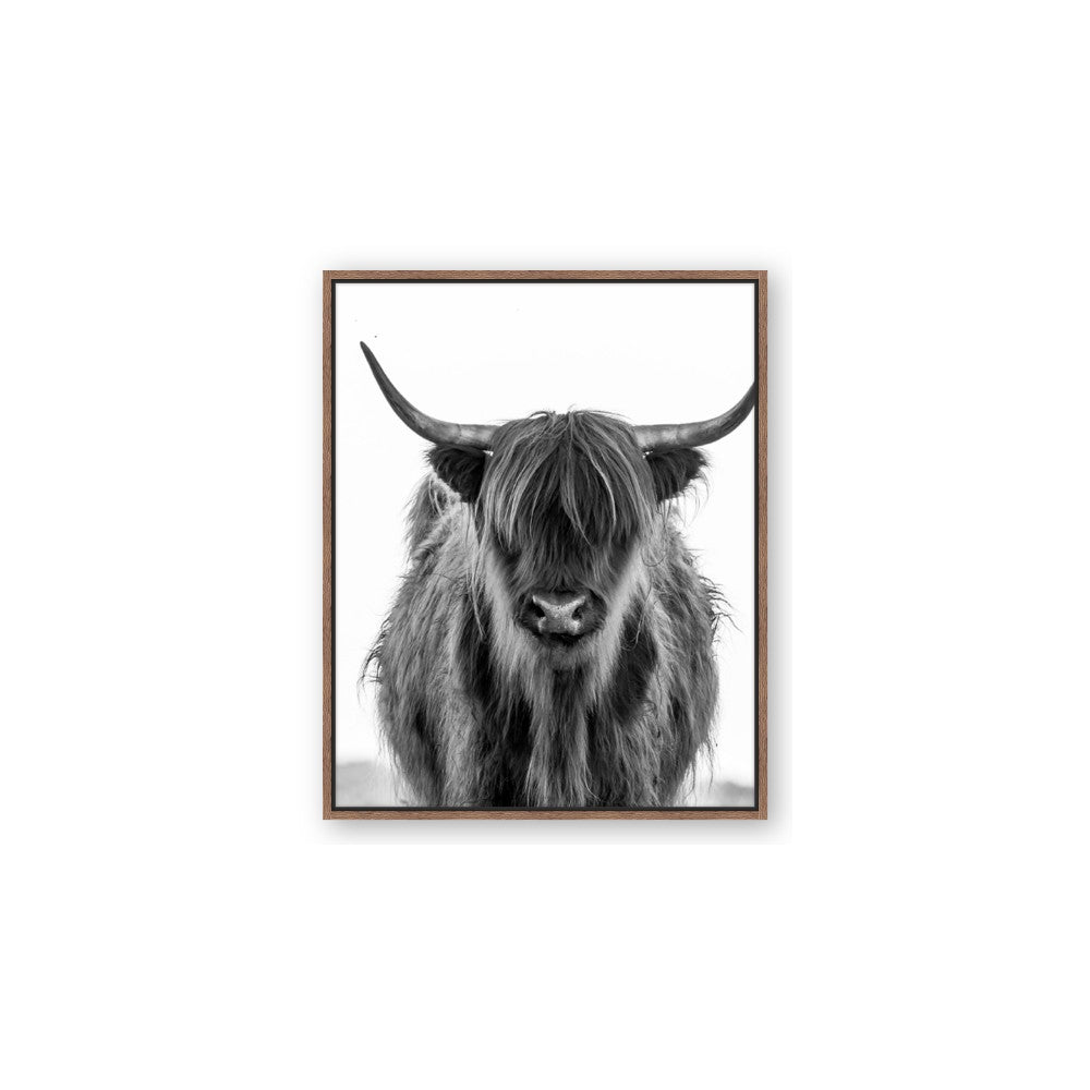 B&W Highland