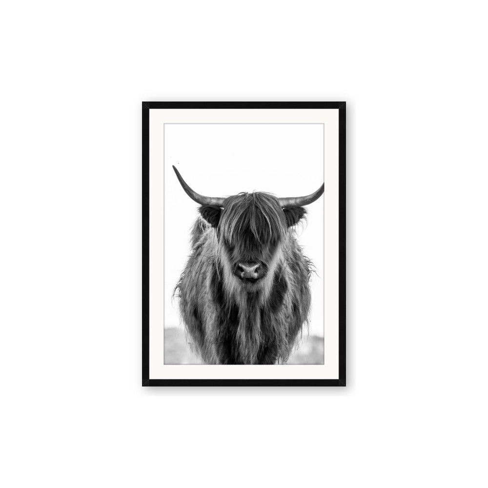 B&W Highland