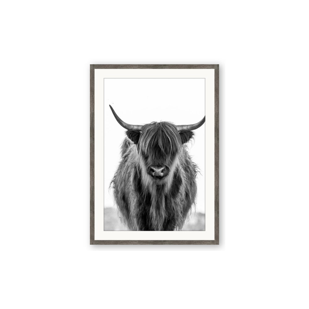 B&W Highland