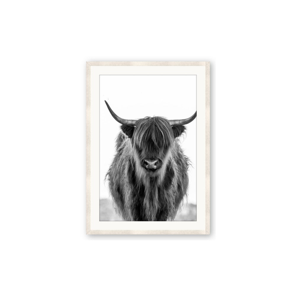 B&W Highland