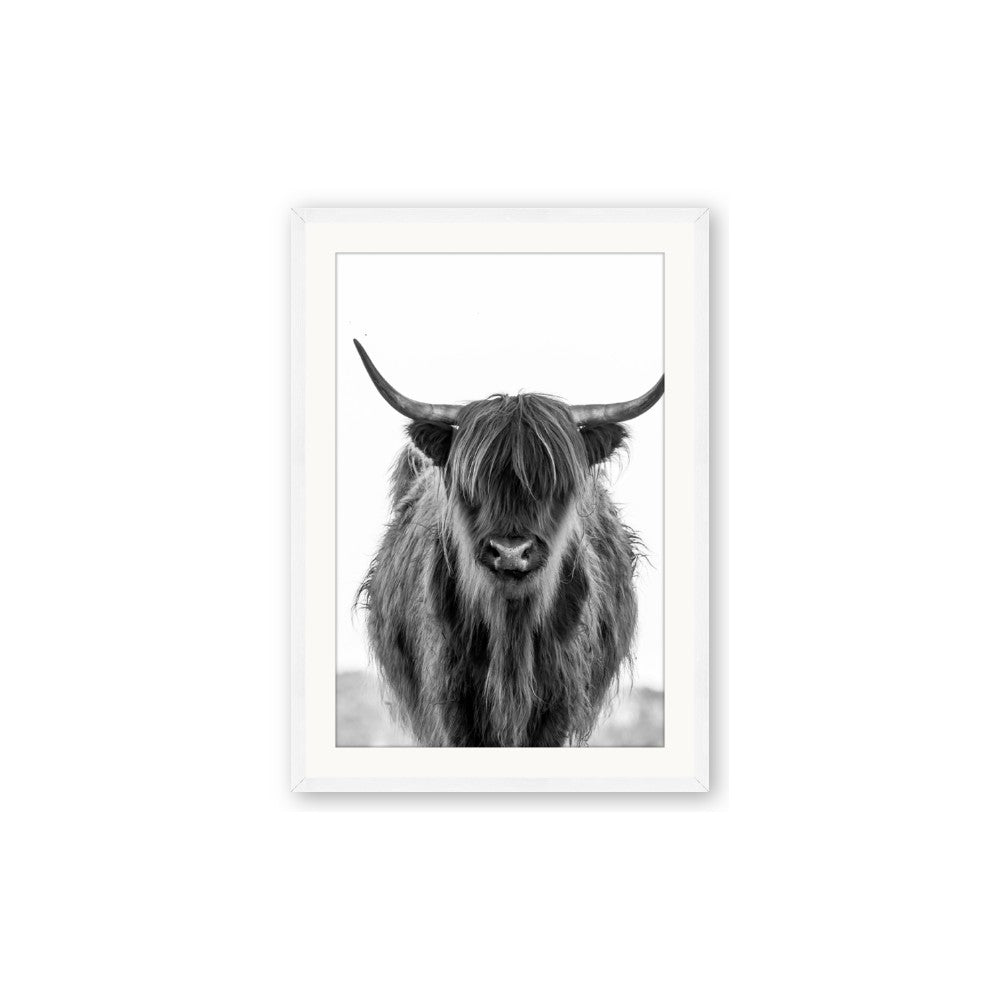 B&W Highland