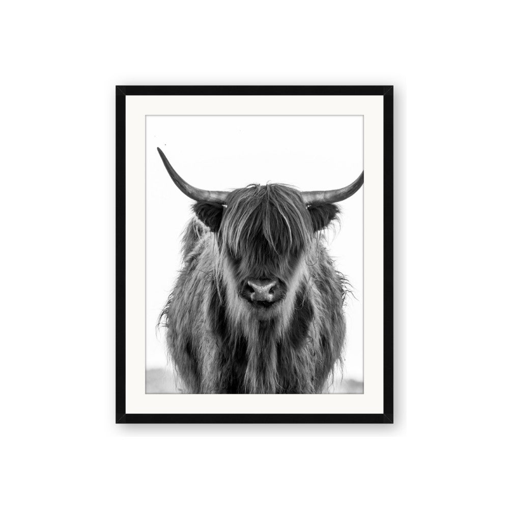B&W Highland
