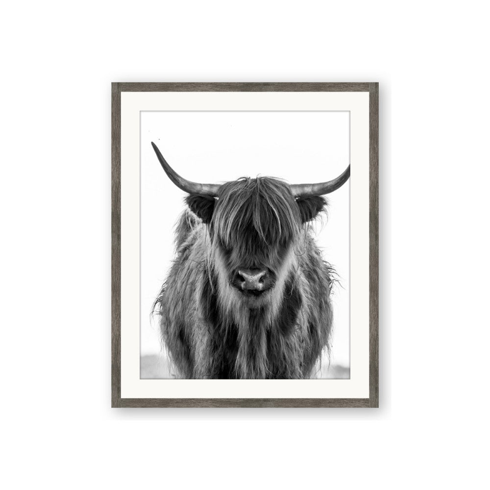 B&W Highland