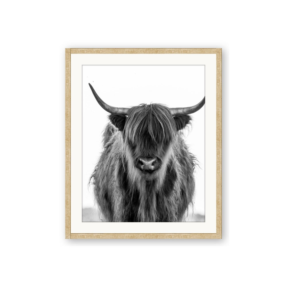 B&W Highland