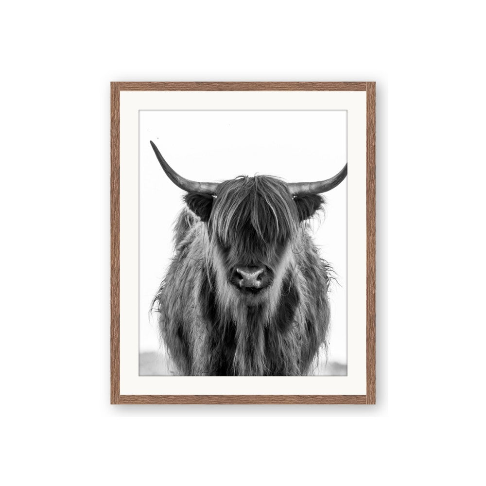 B&W Highland