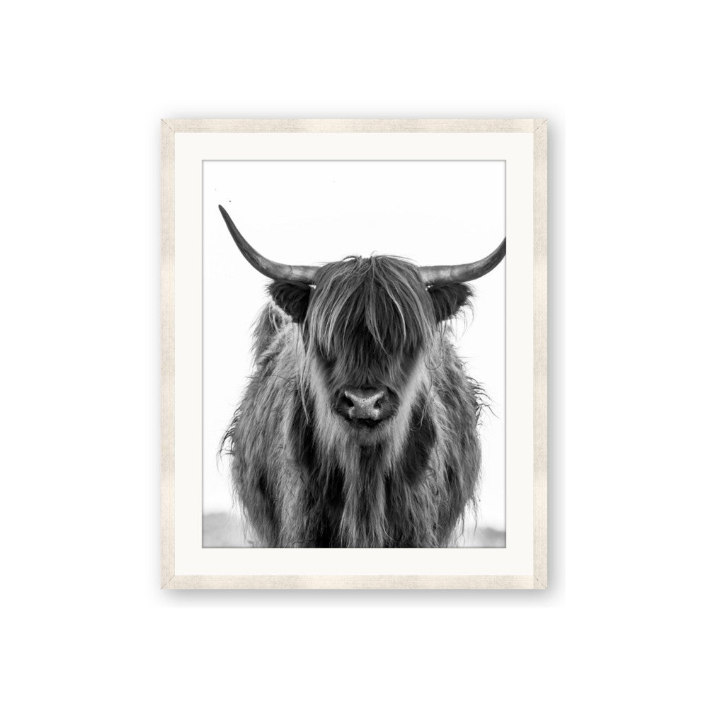 B&W Highland