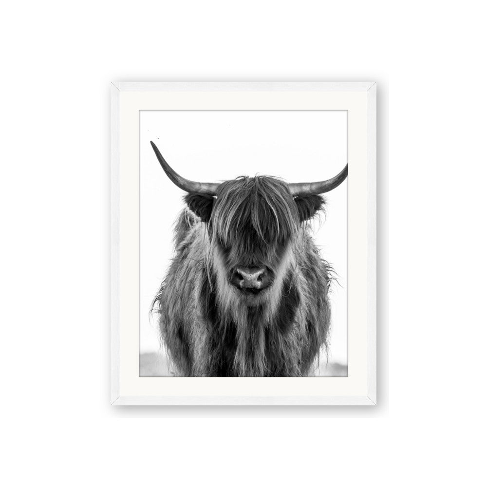 B&W Highland