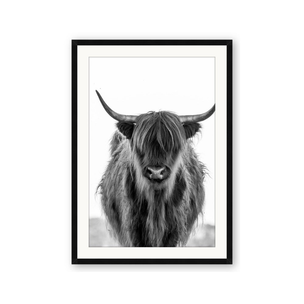 B&W Highland