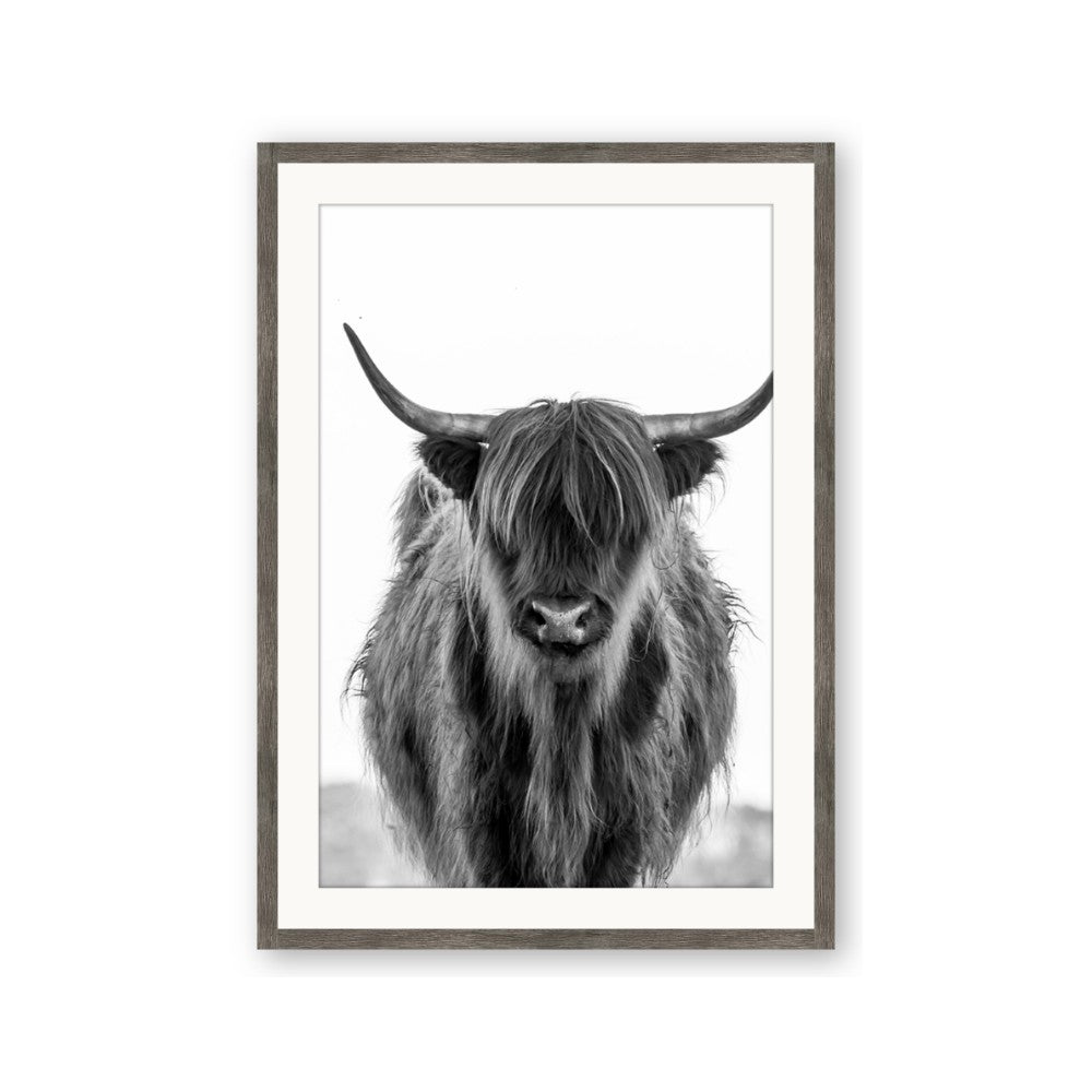 B&W Highland
