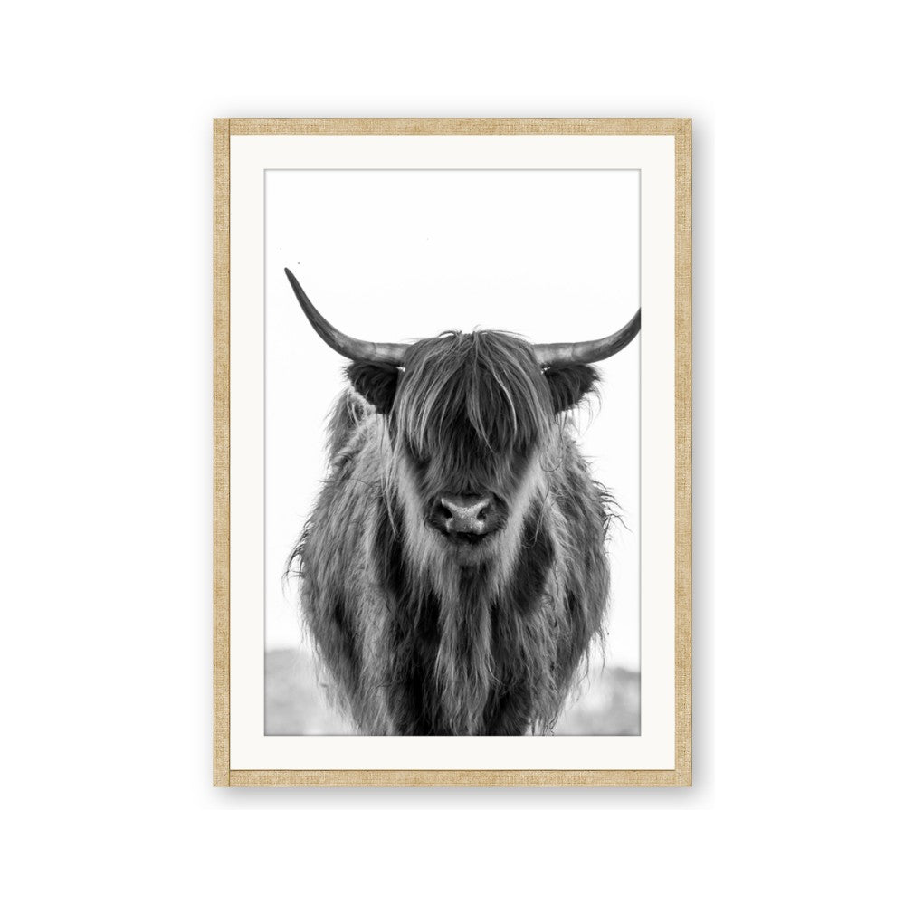 B&W Highland