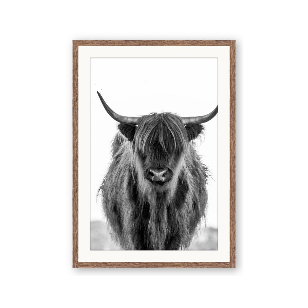 B&W Highland