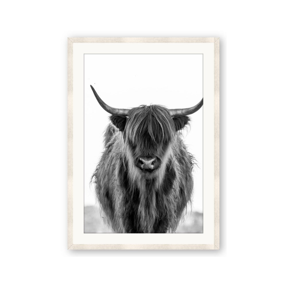B&W Highland