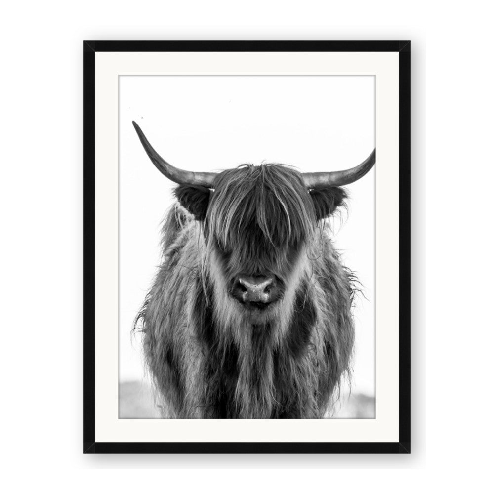 B&W Highland