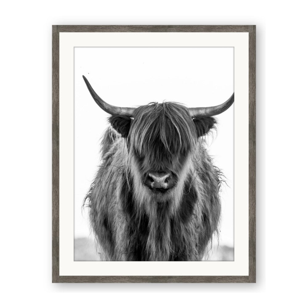 B&W Highland