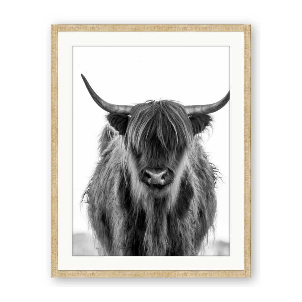 B&W Highland