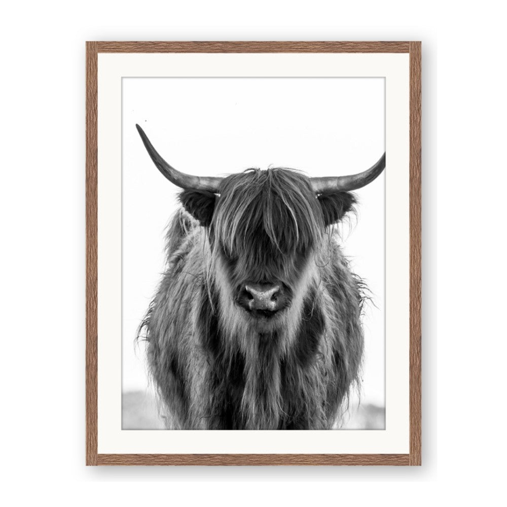 B&W Highland