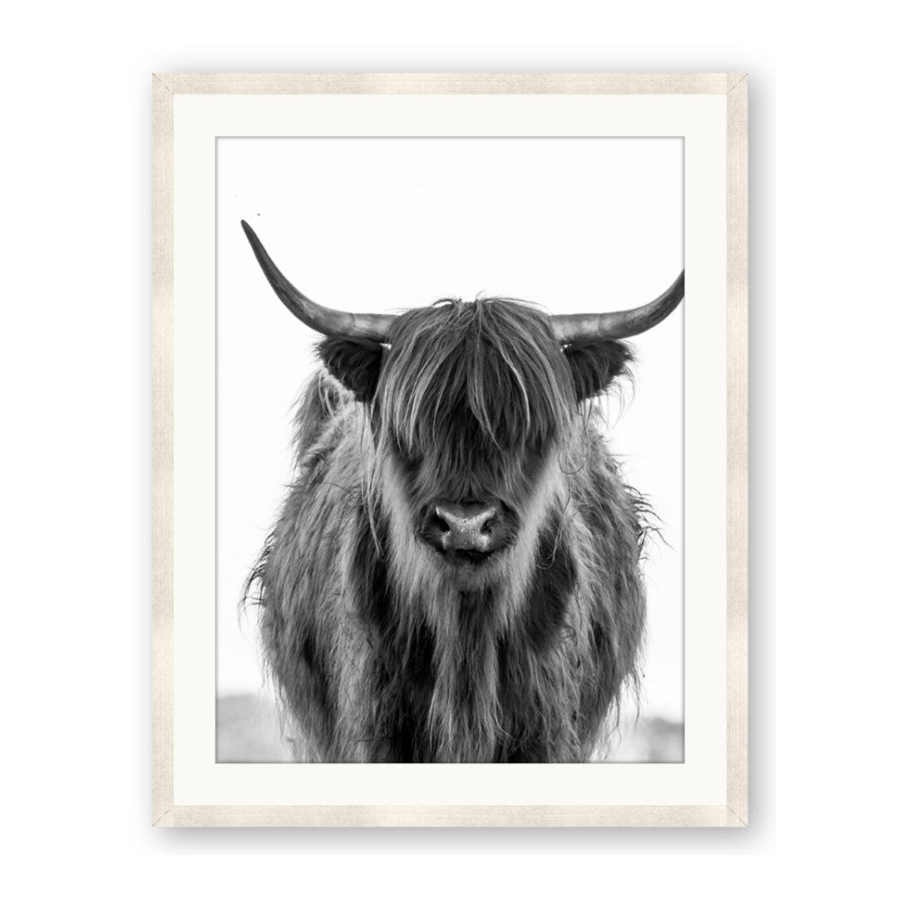 B&W Highland