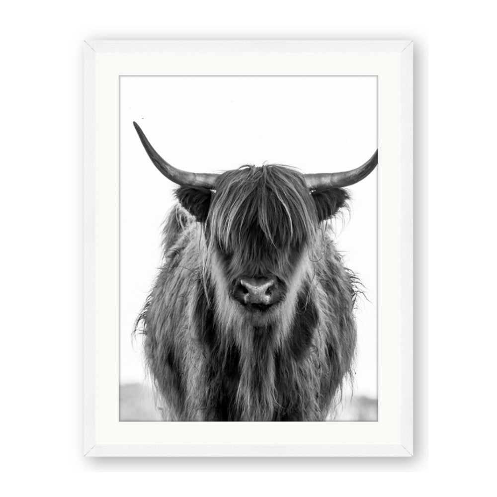B&W Highland