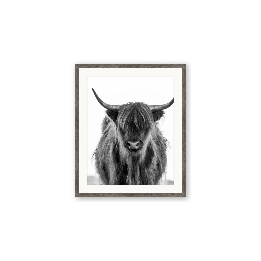 B&W Highland