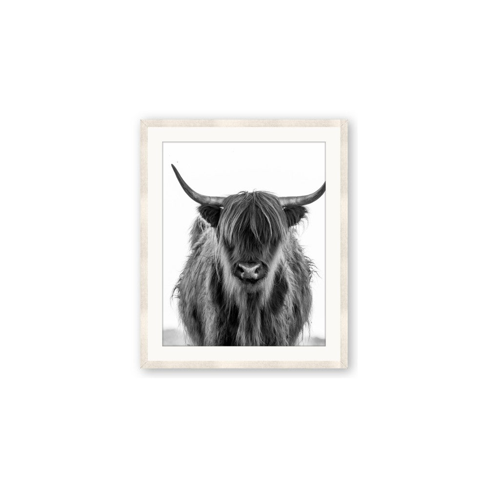 B&W Highland