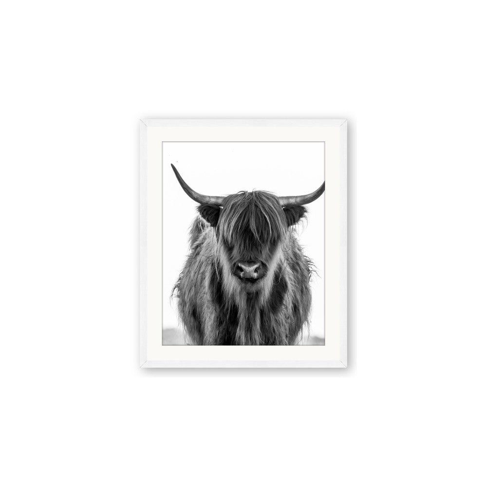 B&W Highland