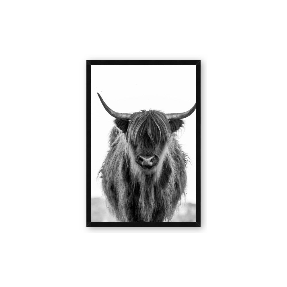 B&W Highland