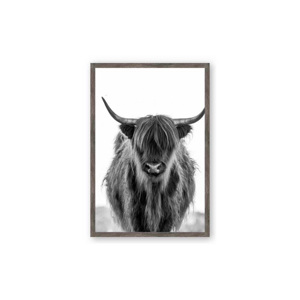 B&W Highland