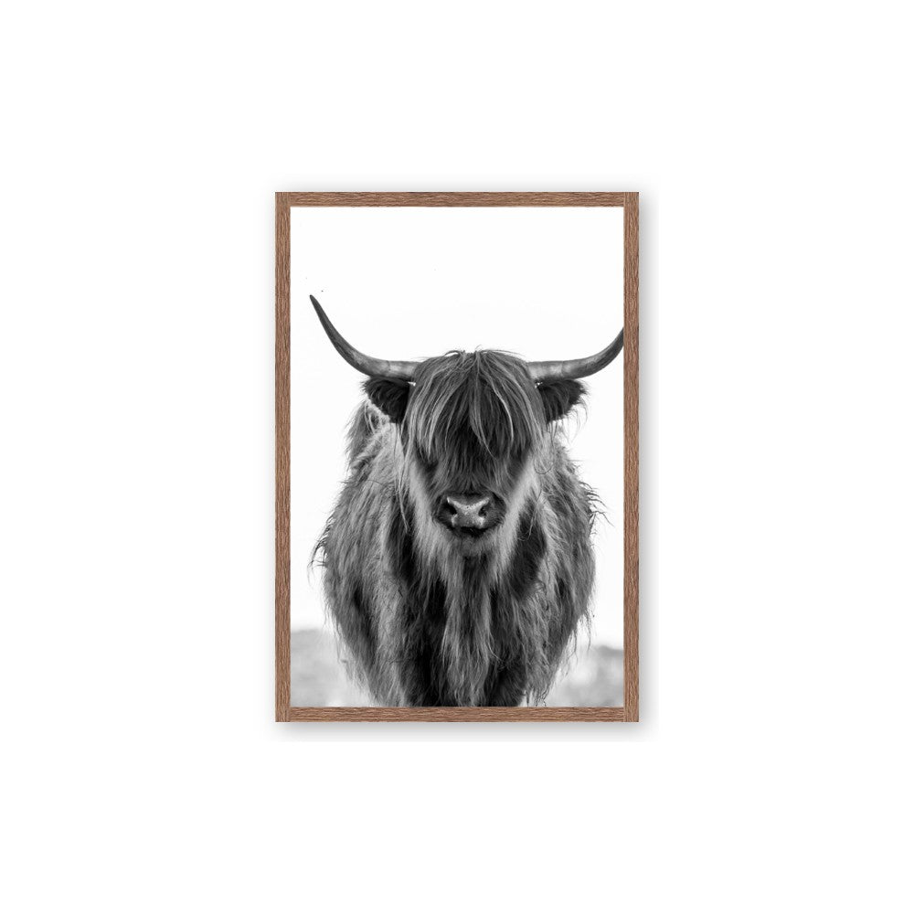 B&W Highland