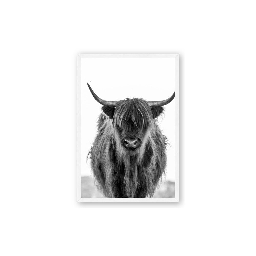 B&W Highland