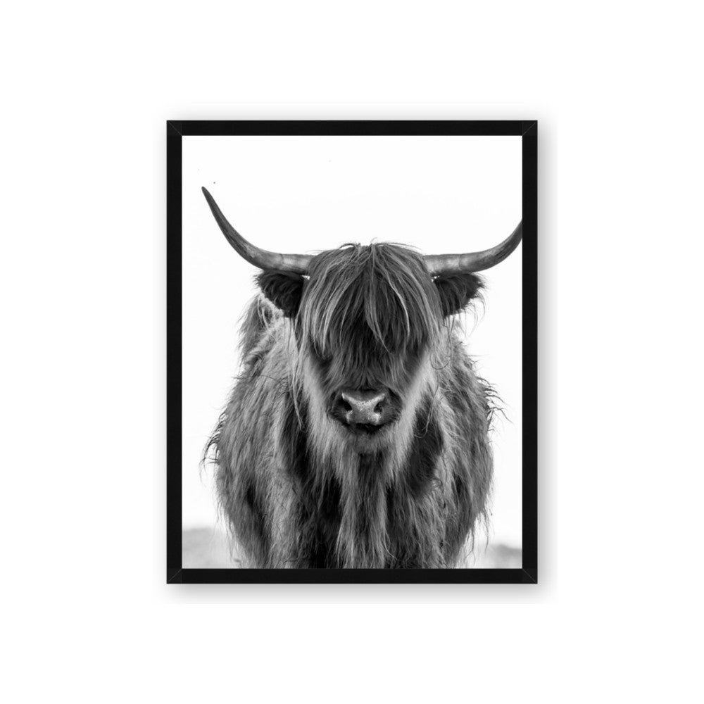 B&W Highland