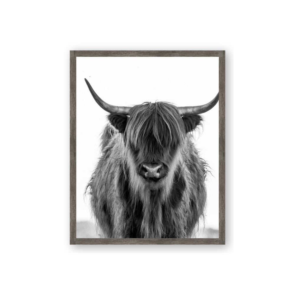B&W Highland