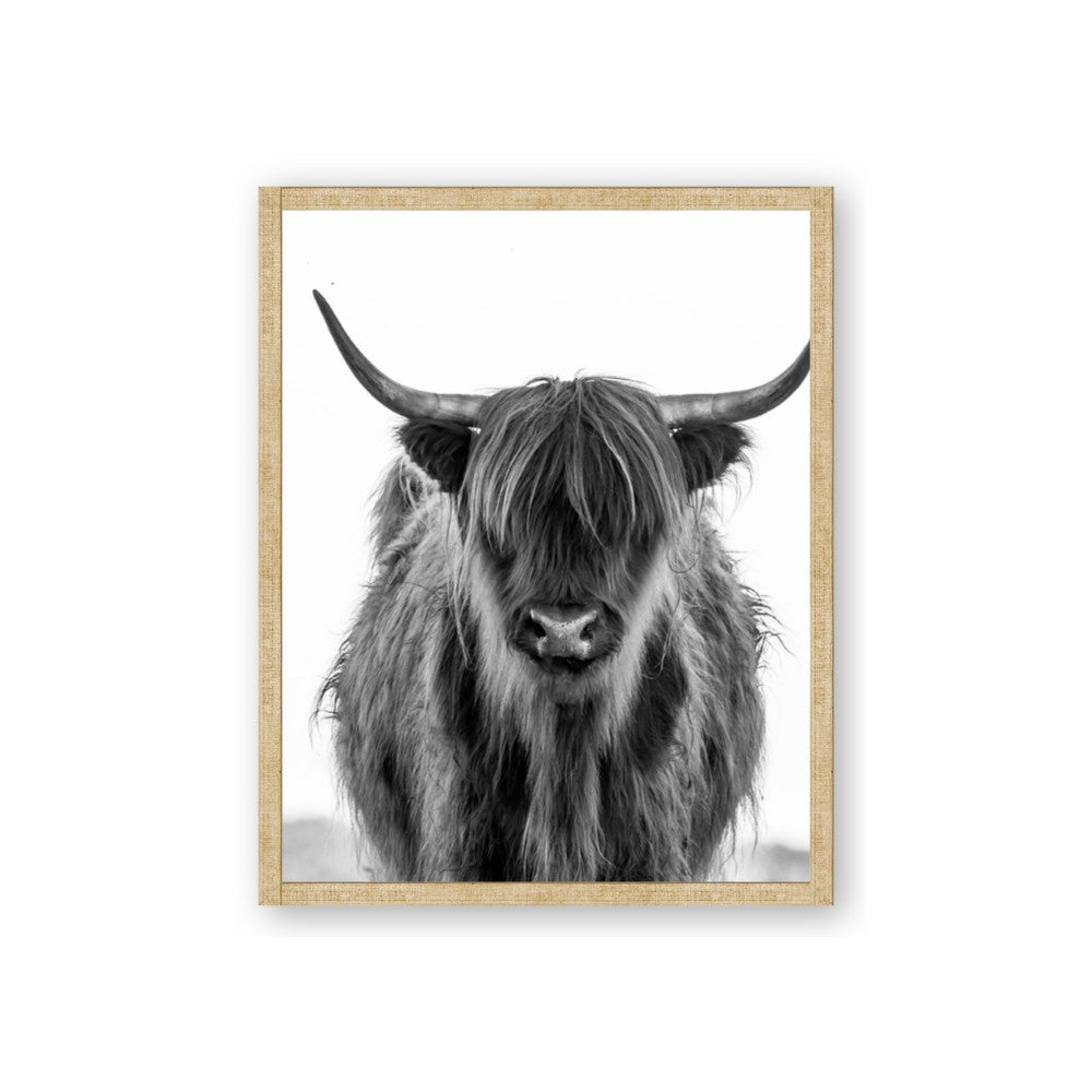 B&W Highland