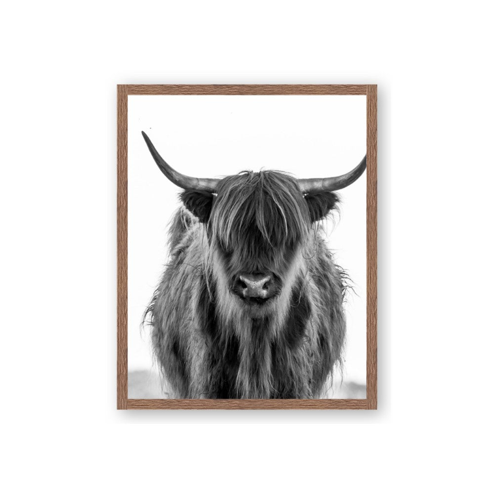 B&W Highland
