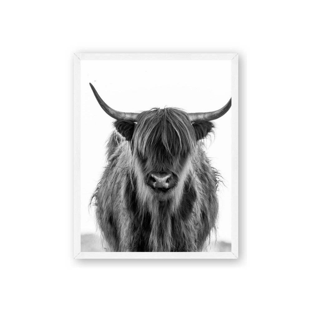 B&W Highland