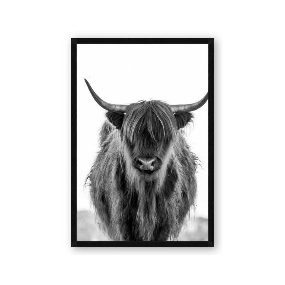 B&W Highland